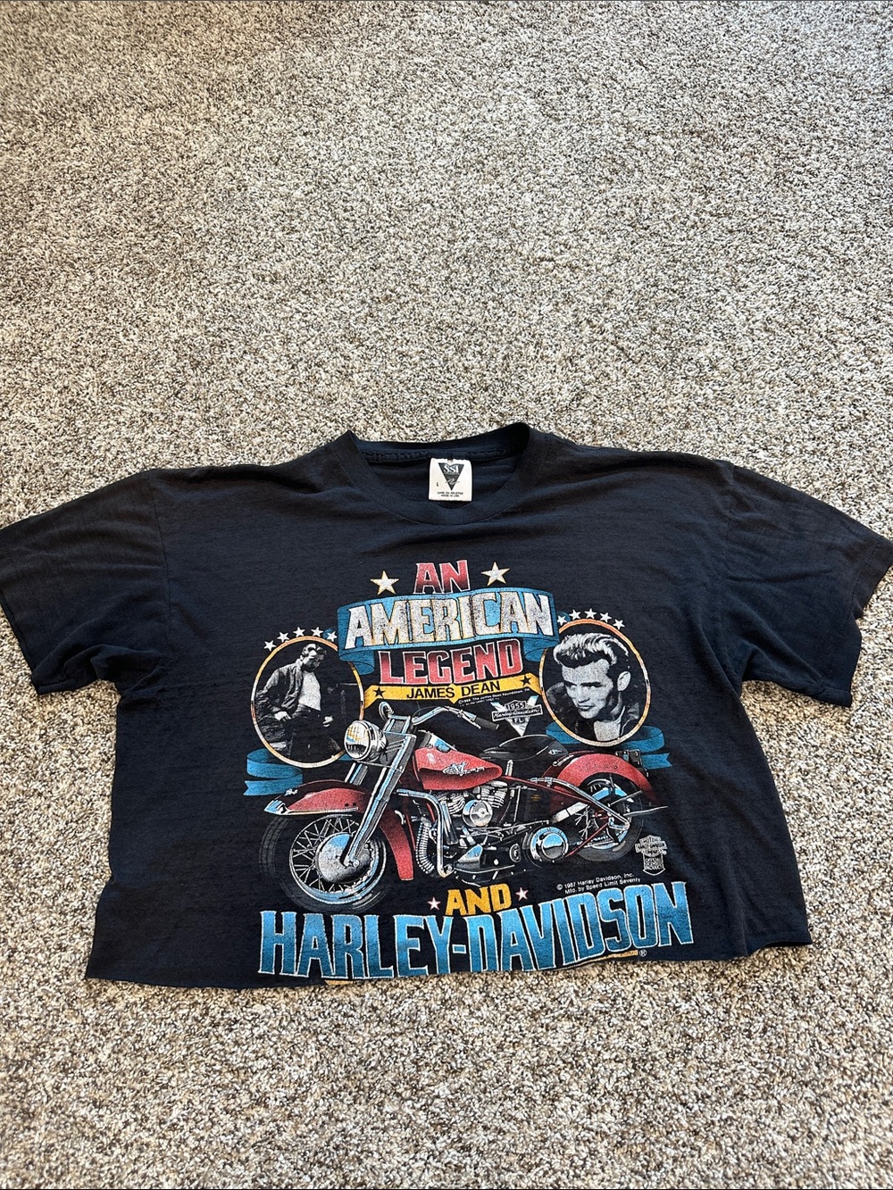 Vintage 1987 Harley Davidson James Dean T-Shirt Cropped Distressed L